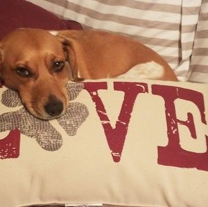 Meet your Posher, Renee